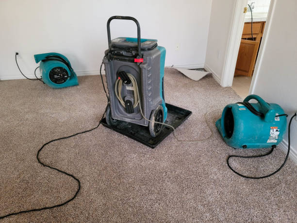 Best Water damage cleanup near me  in Horicon, WI