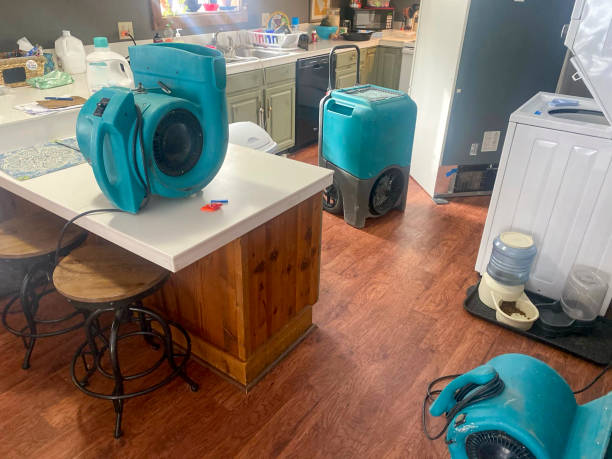 Best Water damage restoration near me  in Horicon, WI