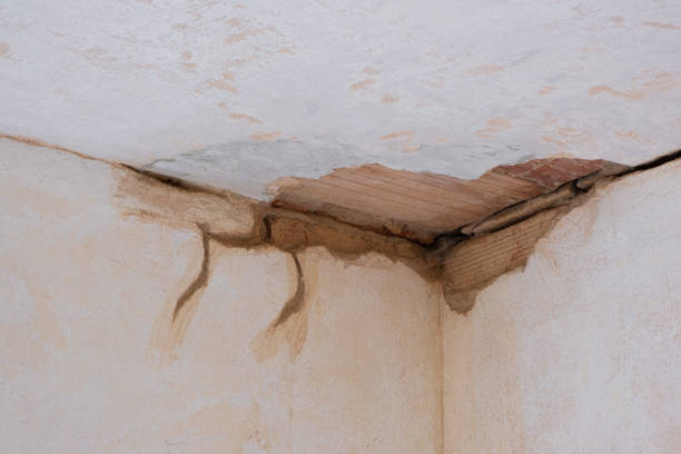 Best Ceiling water damage repair  in Horicon, WI
