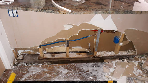 Best Water damage contractors near me  in Horicon, WI