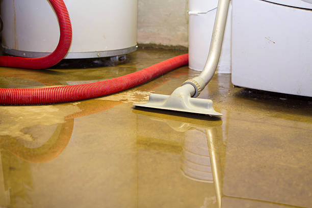Best Residential water damage restoration  in Horicon, WI