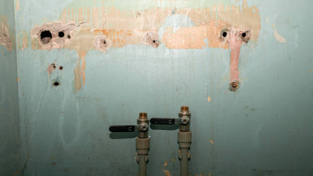 Best Emergency water damage restoration  in Horicon, WI