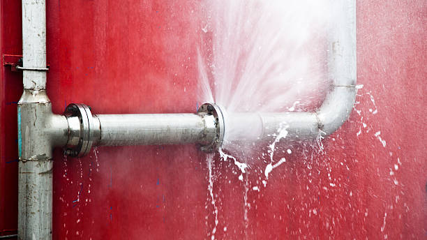Best Flood damage cleanup  in Horicon, WI